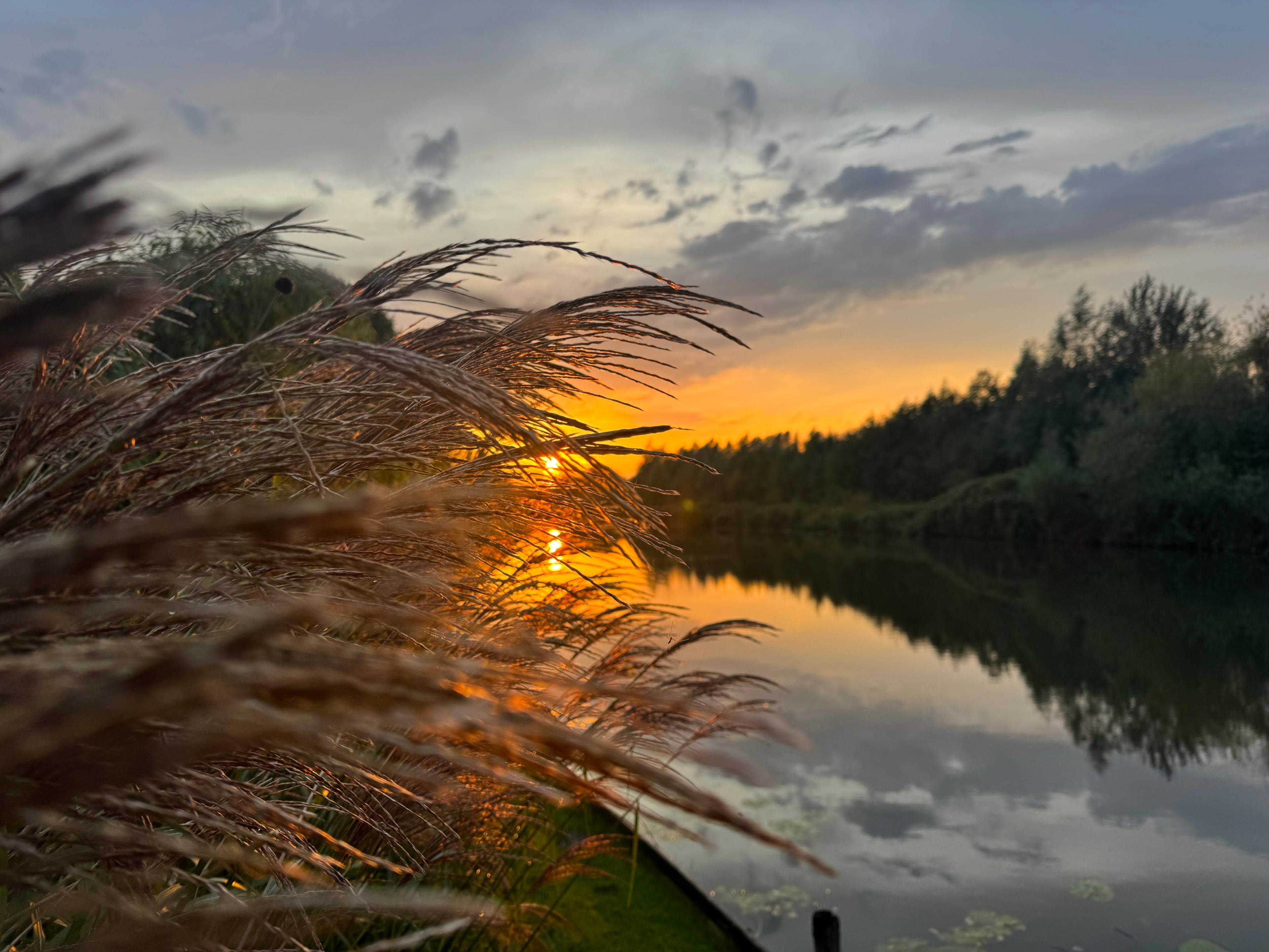 Natuurhuisje in Enspijk