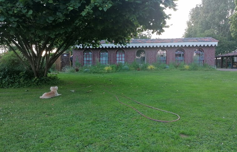 Natuurhuisje in Well