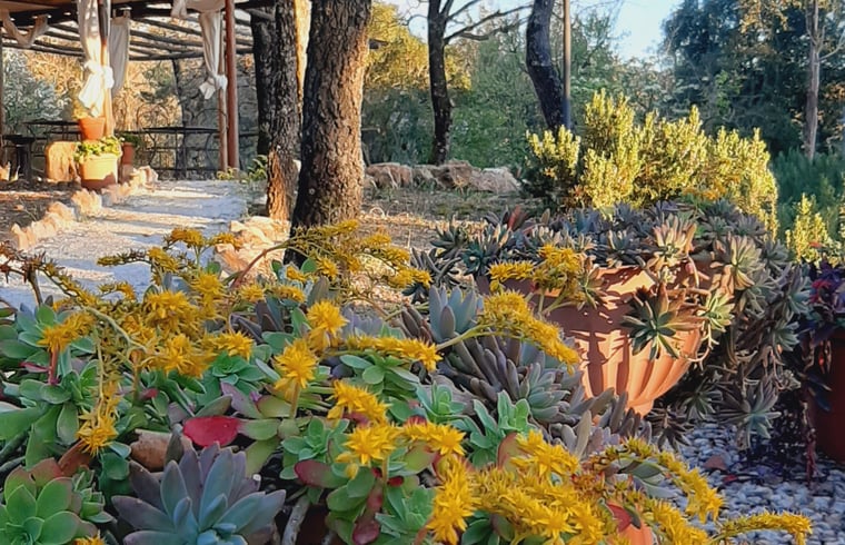 Glamping in Monterotondo Marittimo — foto 3