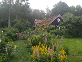 Natuurhuisje in Drouwenerveen