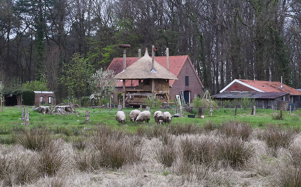 Nature house in Winterswijk Woold