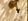 - image: 20