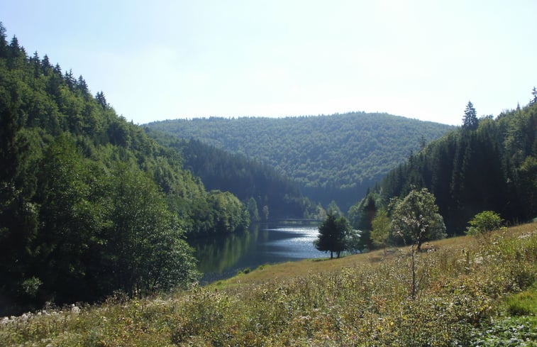 Naturhäuschen in Frauenwald: 32