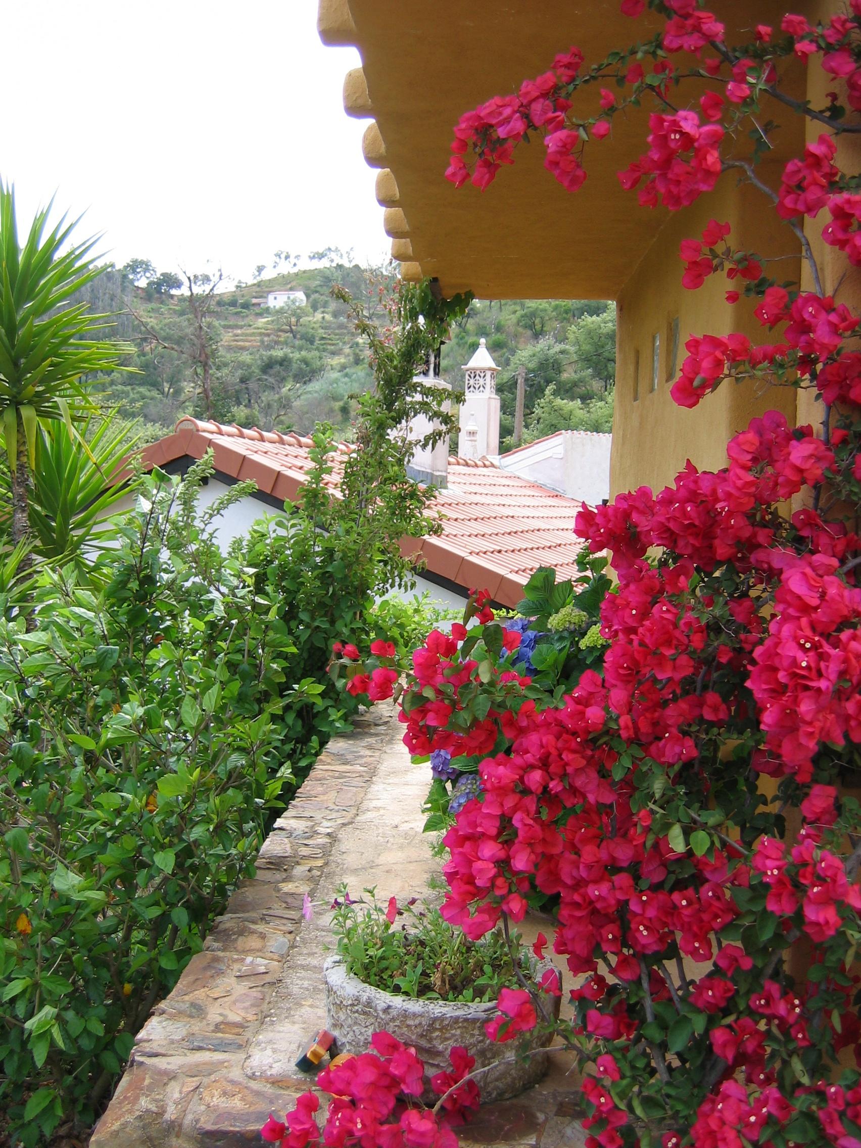 Nature house in Monchique
