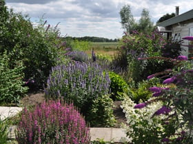 Maison nature à Groenekan, Gemeente De Bilt