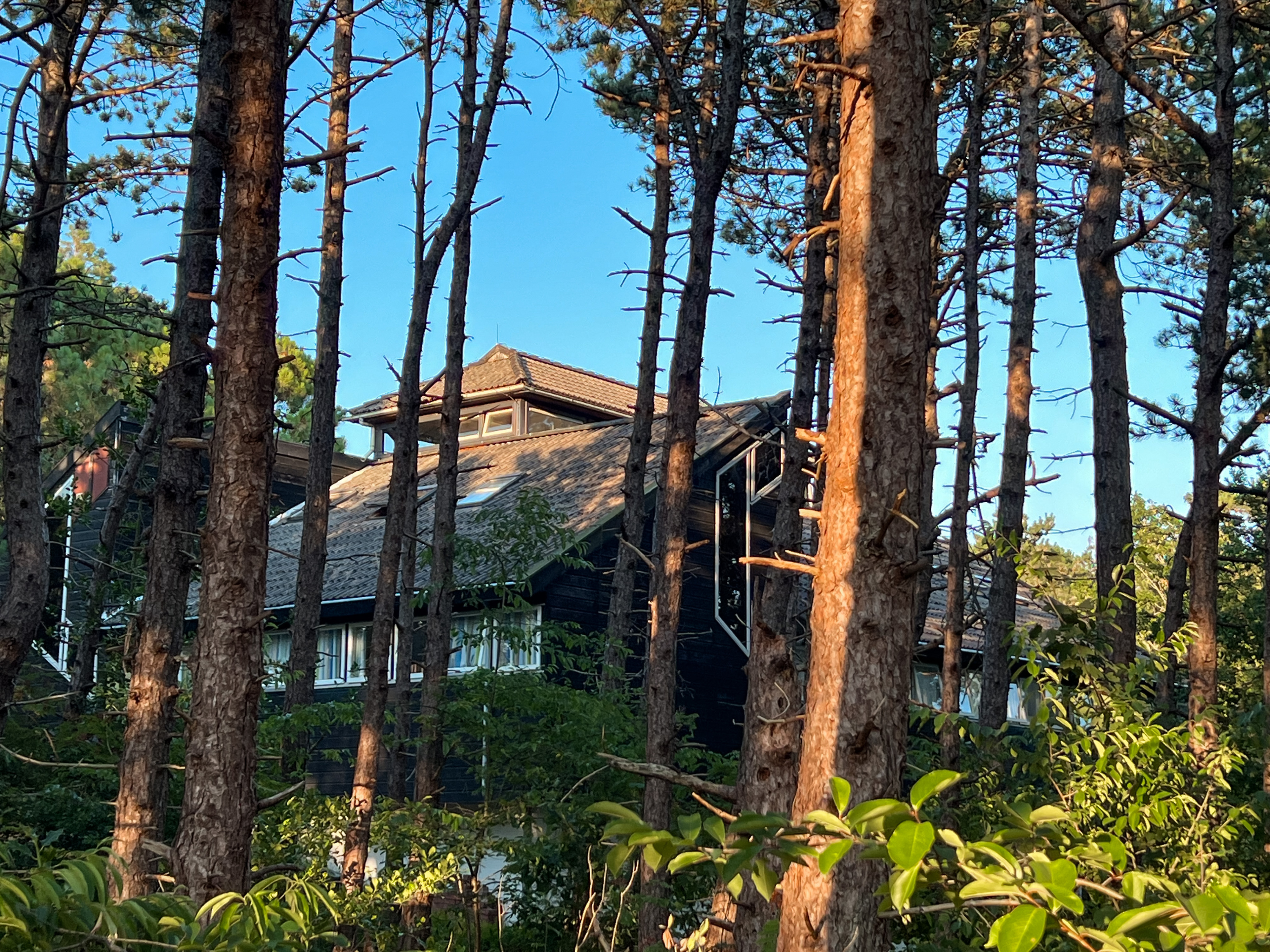 Natuurhuisje in Hoorn Terschelling