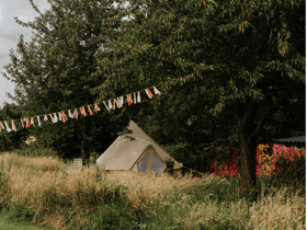 Natuurhuisje in Amstenrade