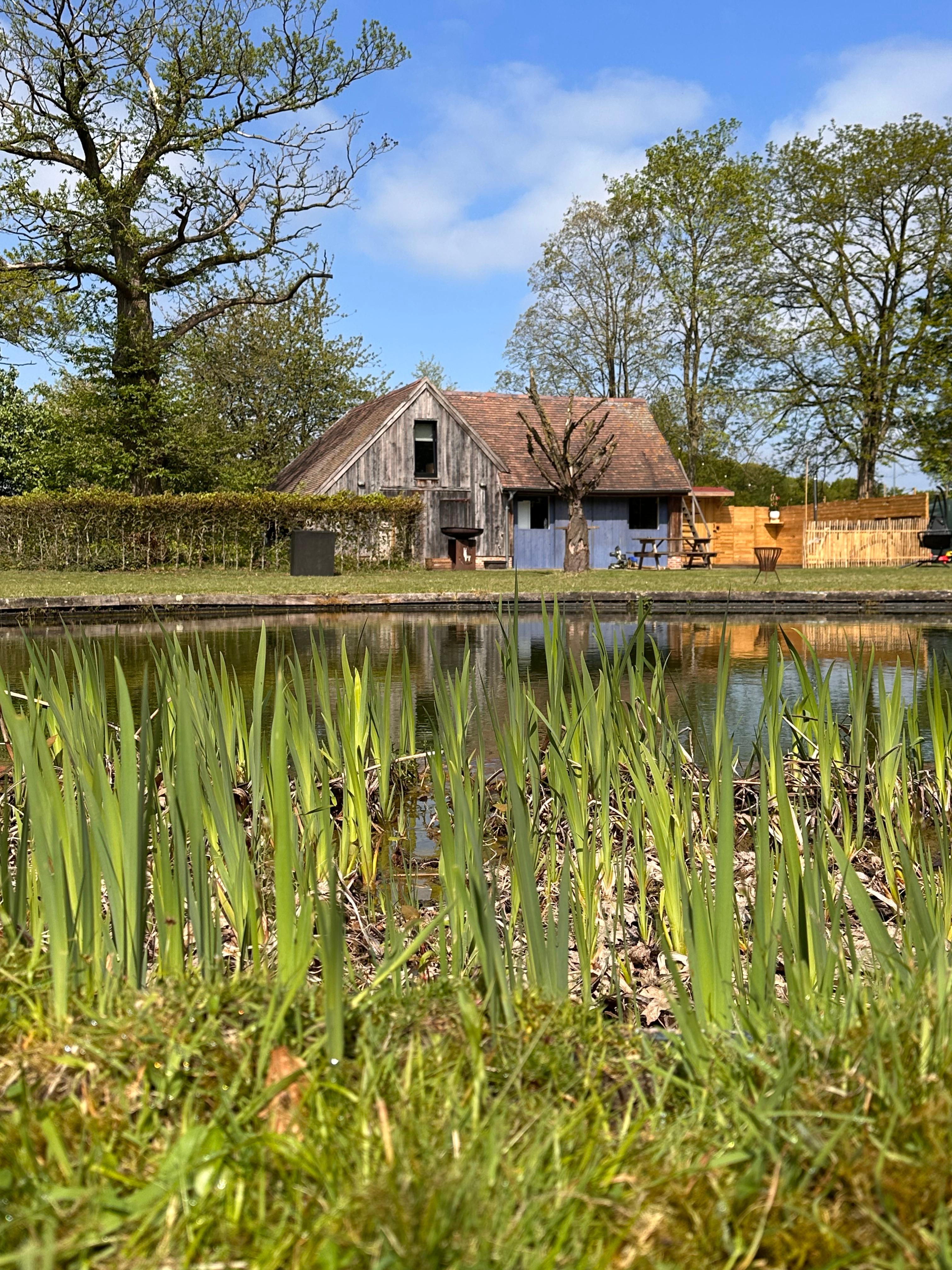 Maison nature à Minderhout