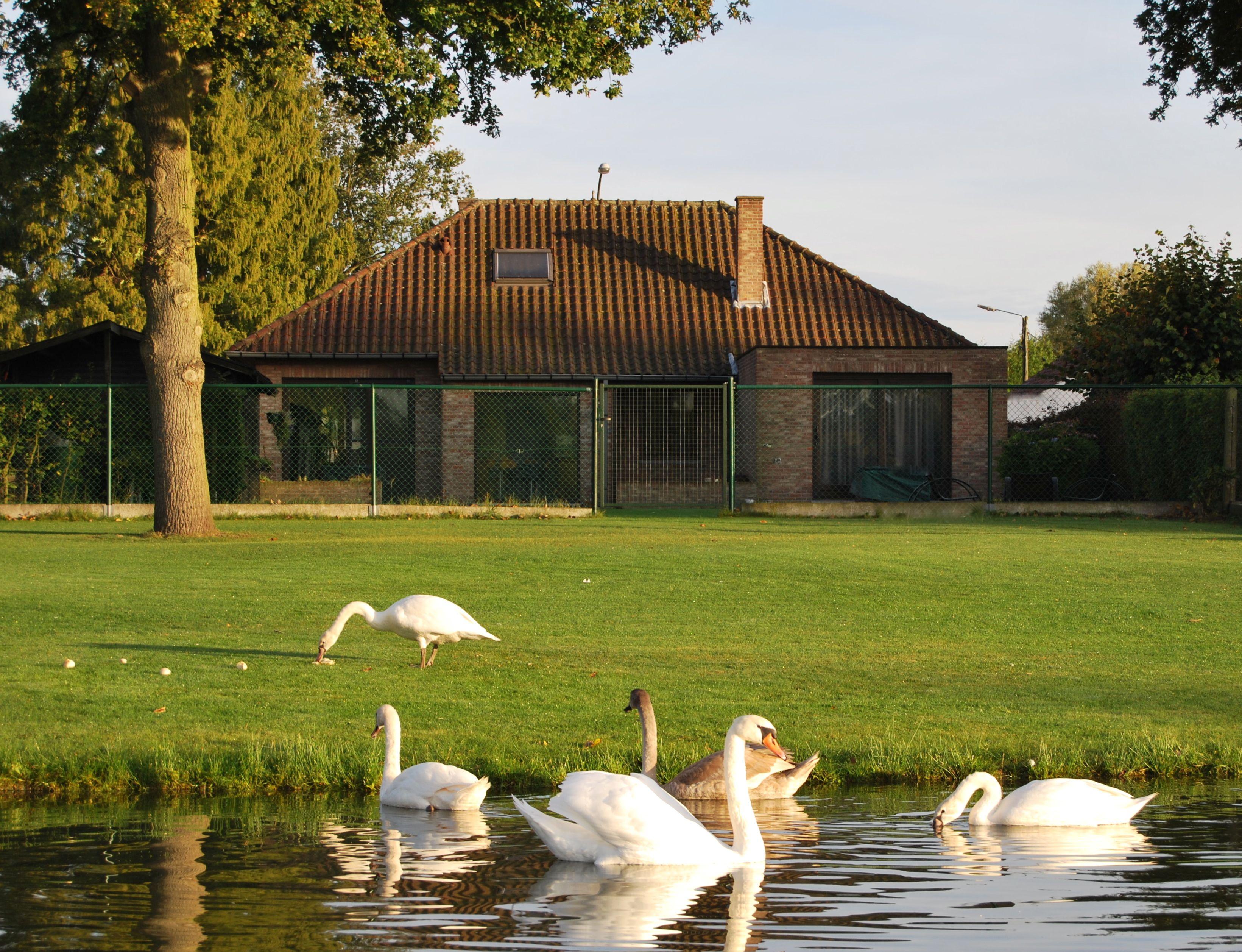 Nature house in Zonhoven