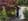 Nature house in Epe