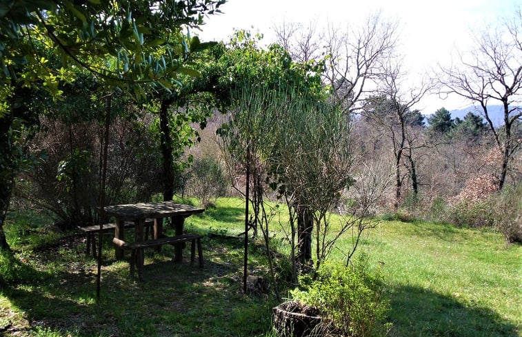 Natuurhuisje in Toevlucht Gargonza Santo'alloro - Monte San Savino: 5