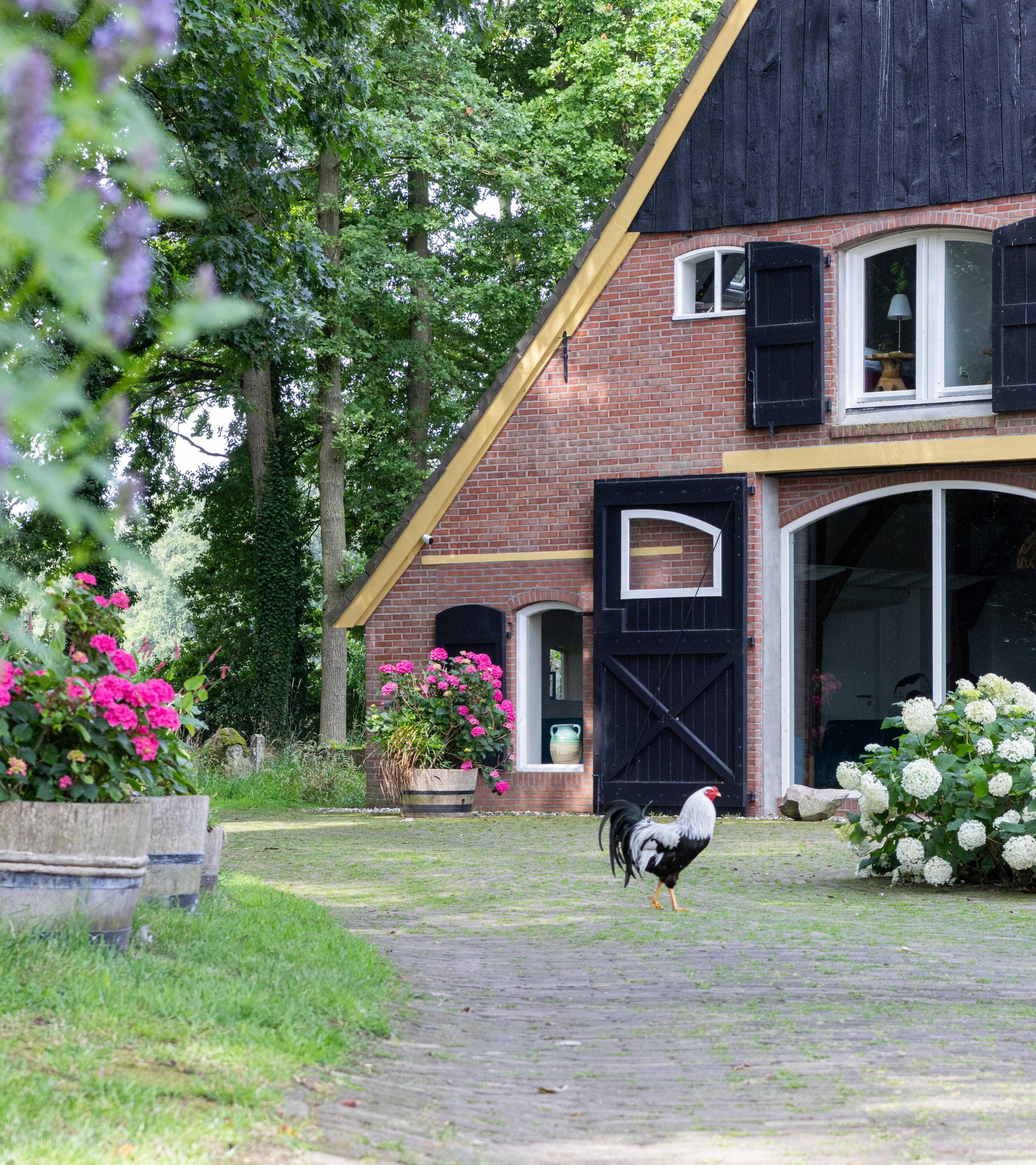 Nature house in Diepenheim