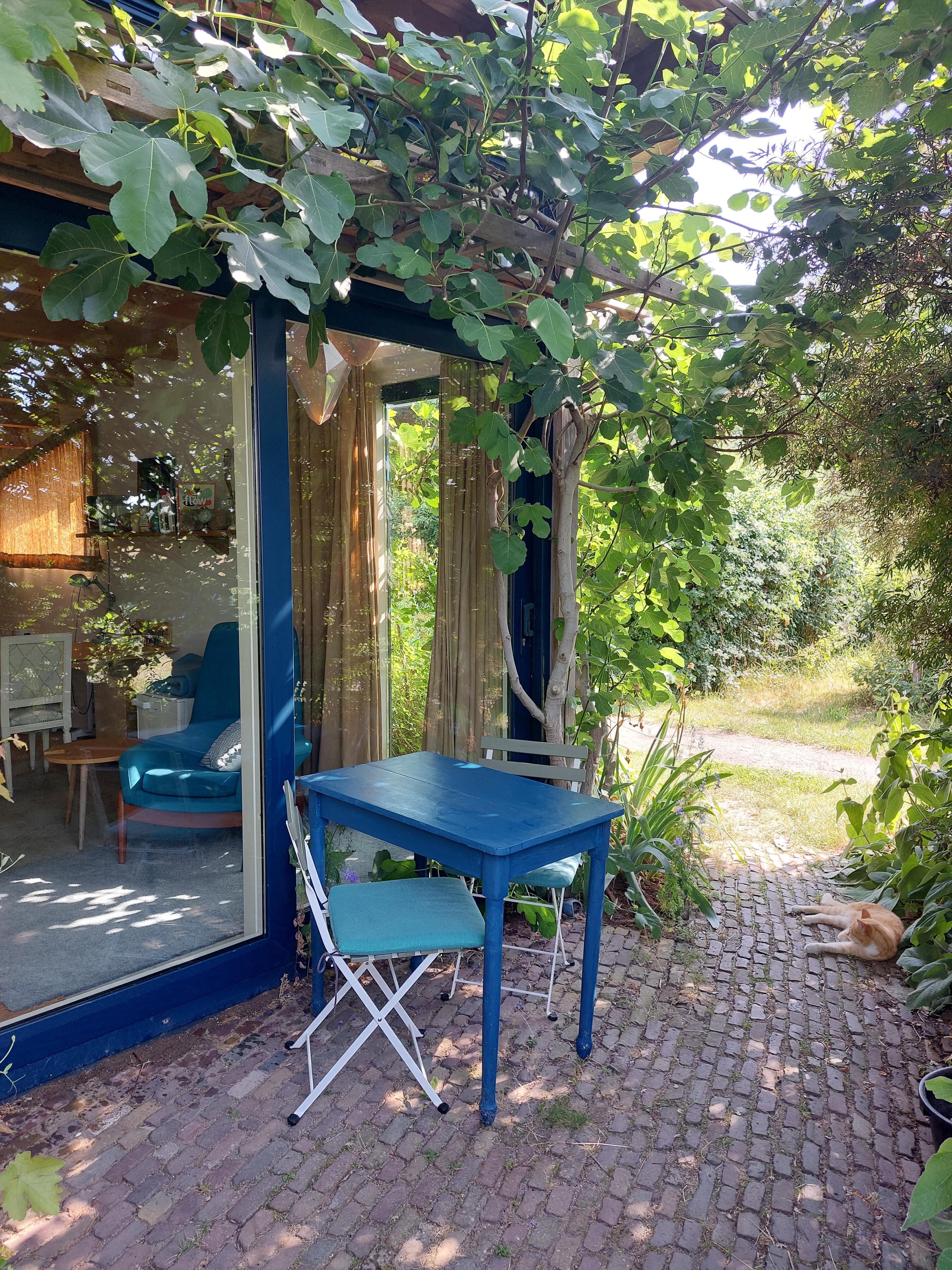 Maison nature à Olst