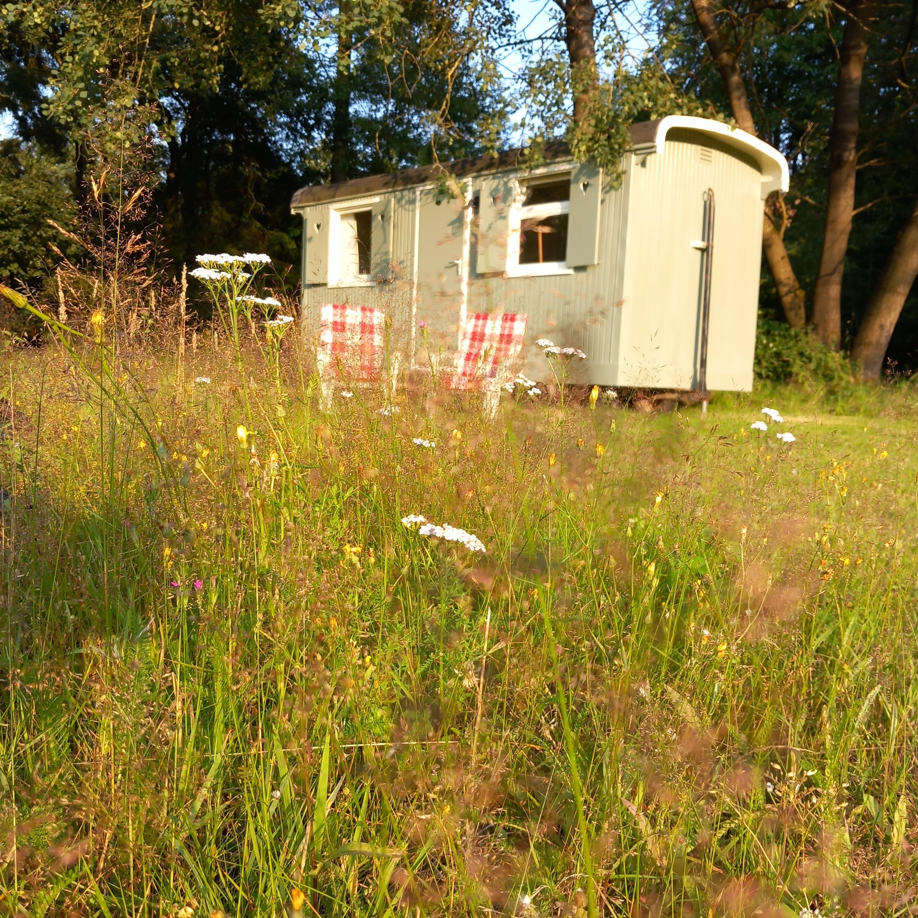 Maison nature à Epe