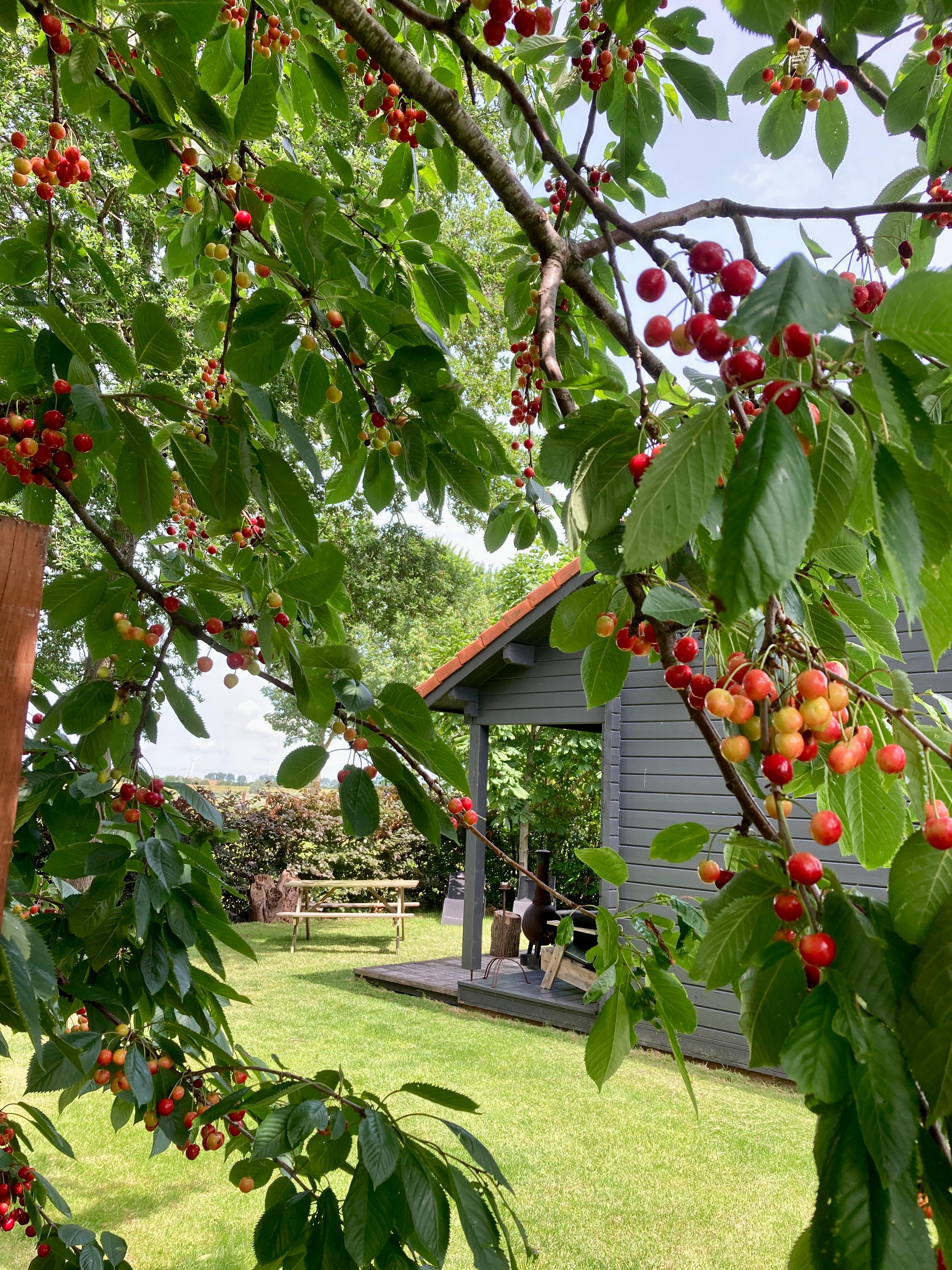 Natuurhuisje in Opperdoes