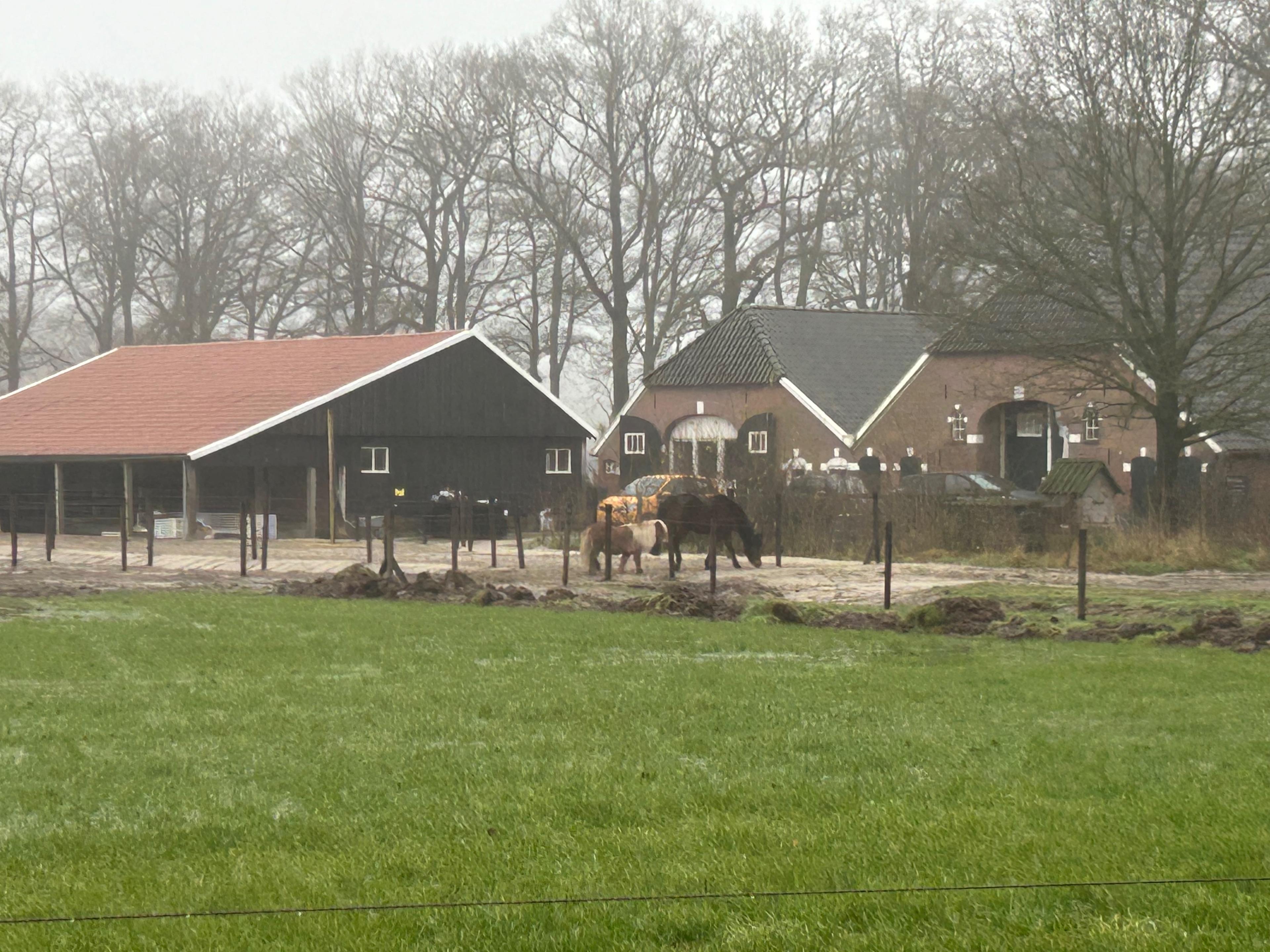 Maison nature à Lochem