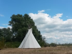 Maison nature à Biddinghuizen