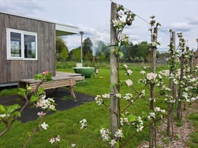 Natuurhuisje in Valkenswaard