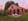 Nature house in Voorst