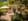 Nature house in Saint Front sur Nizonne