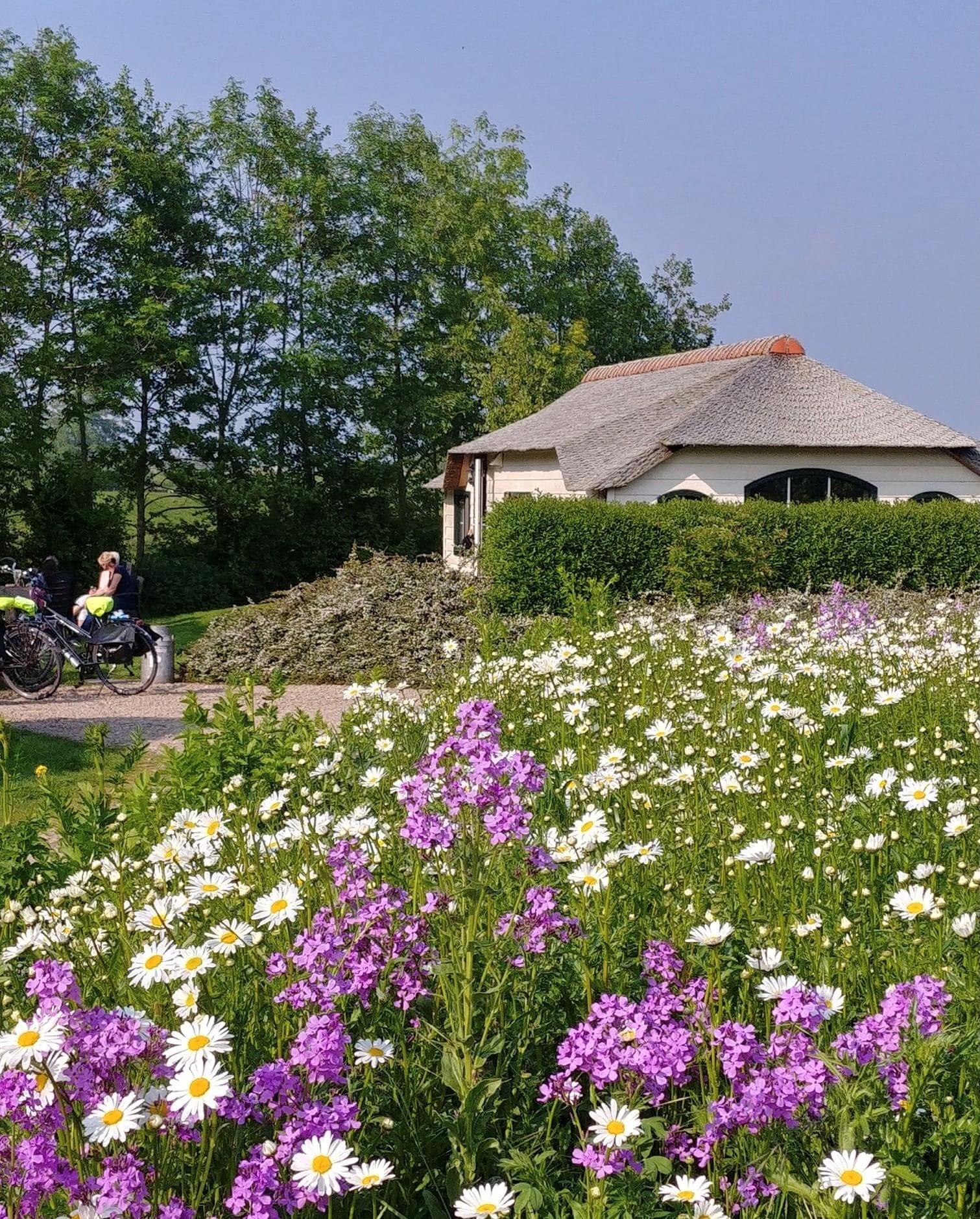 Maison nature à Woubrugge