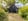 Nature house in Enter