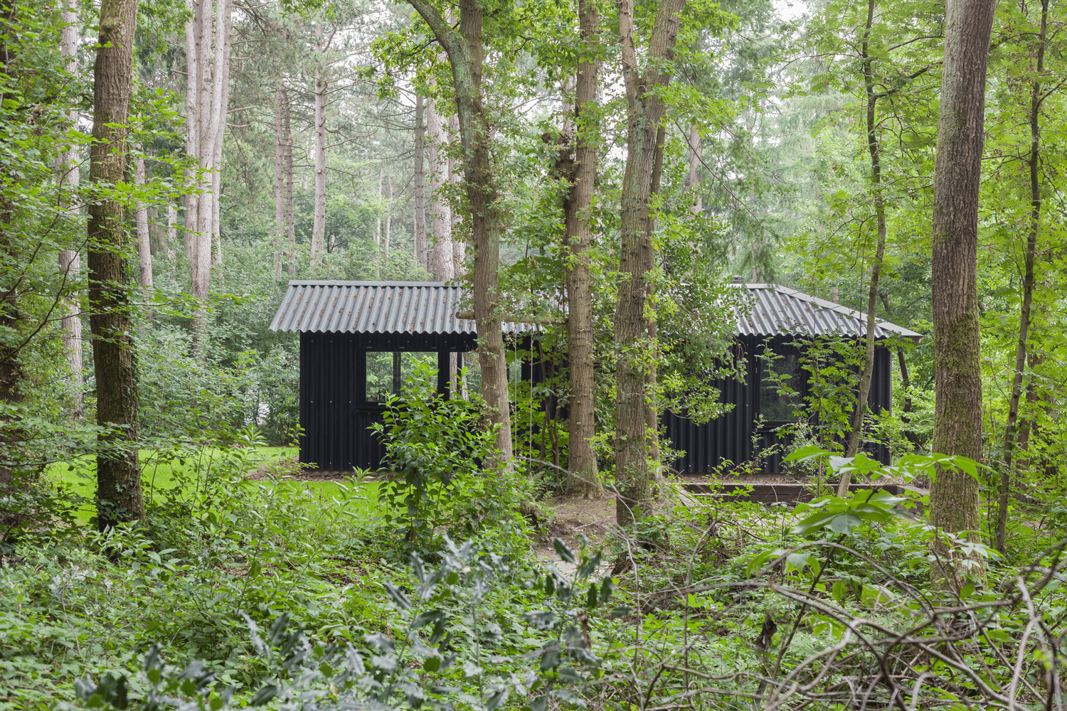 Nature house in Oudemirdum