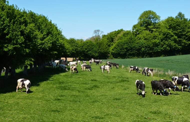 Landhuis in Englancourt — foto 3