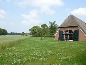 Natuurhuisje in Geesteren