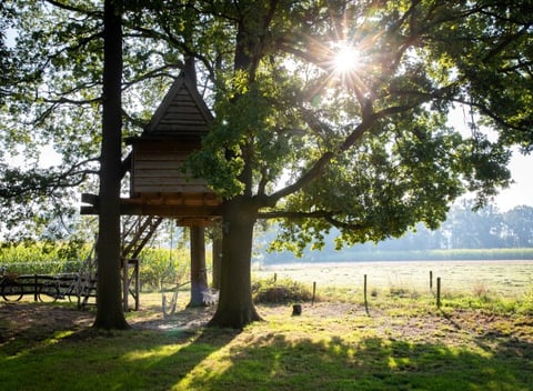 Natuurhuisje 71740 - huisje in Haarlo | Natuurhuisje.nl