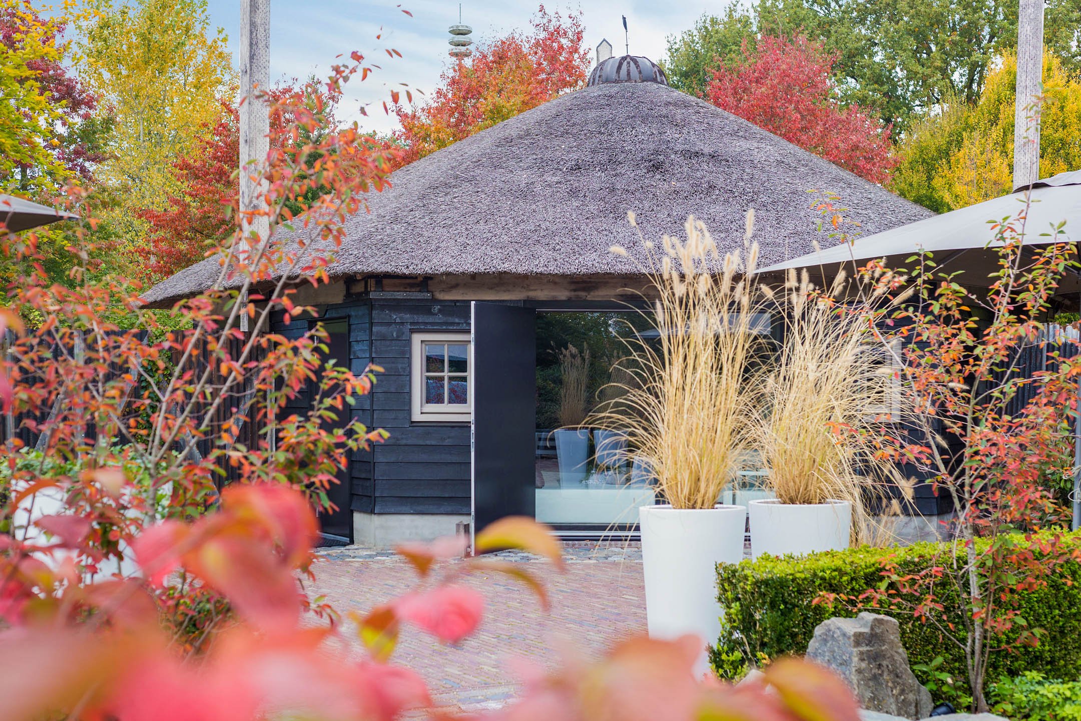 Natuurhuisje in Moergestel
