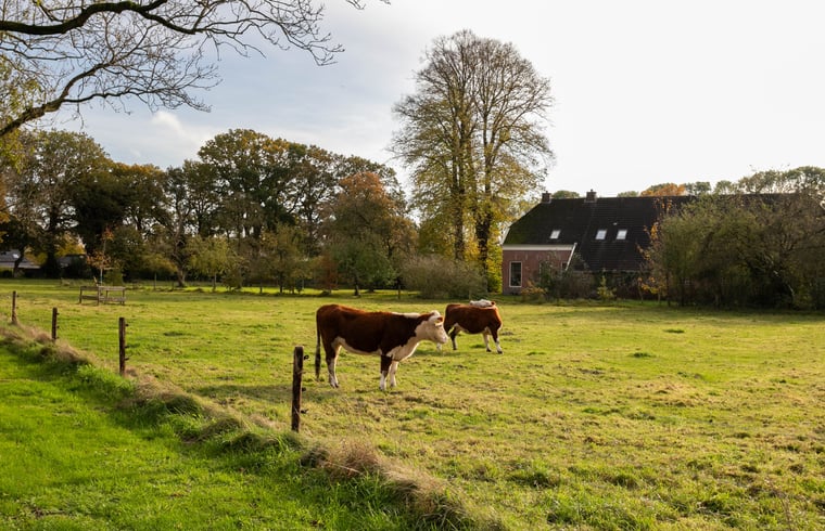 Boerderij in Valthe — foto 3