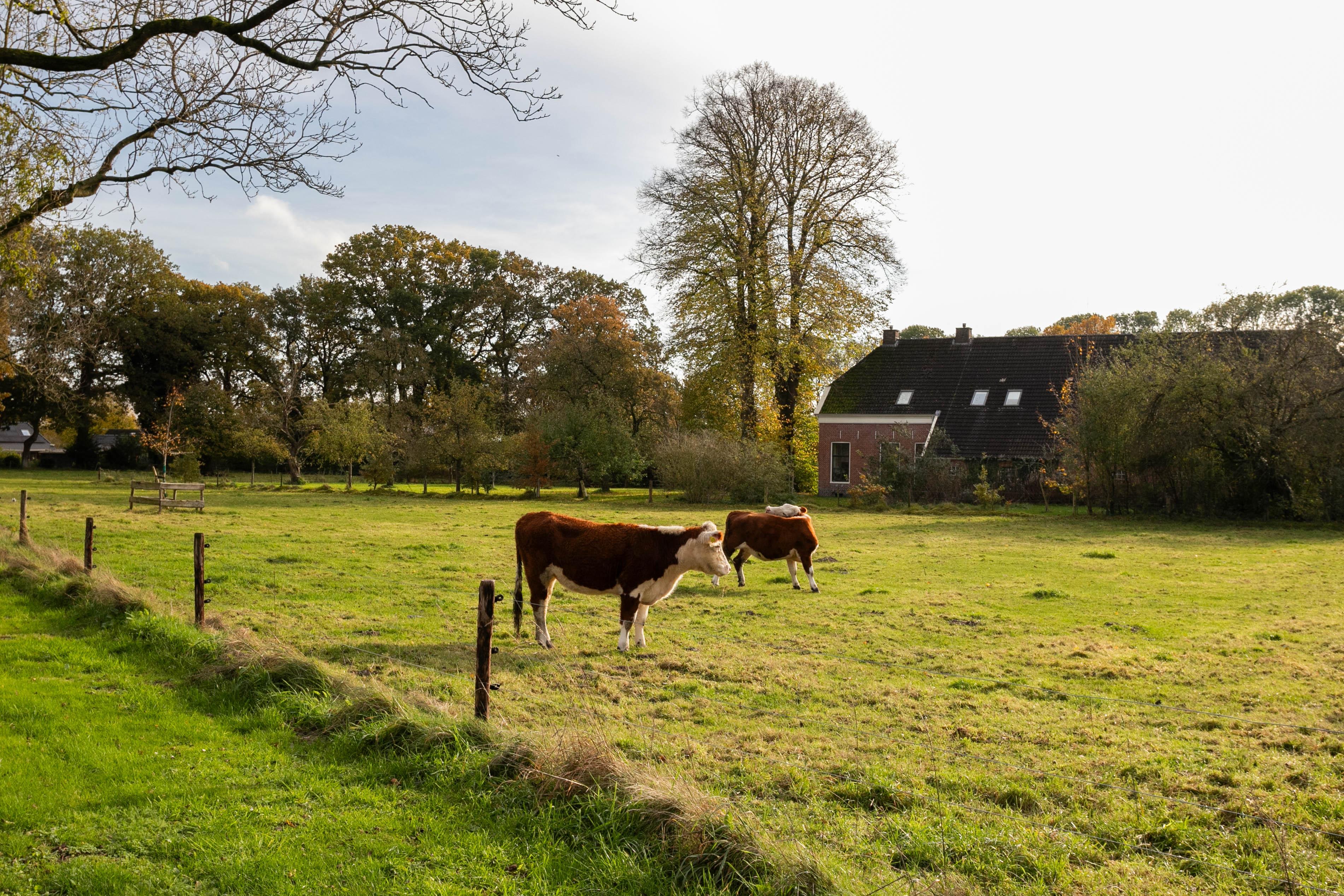 Maison nature à Valthe