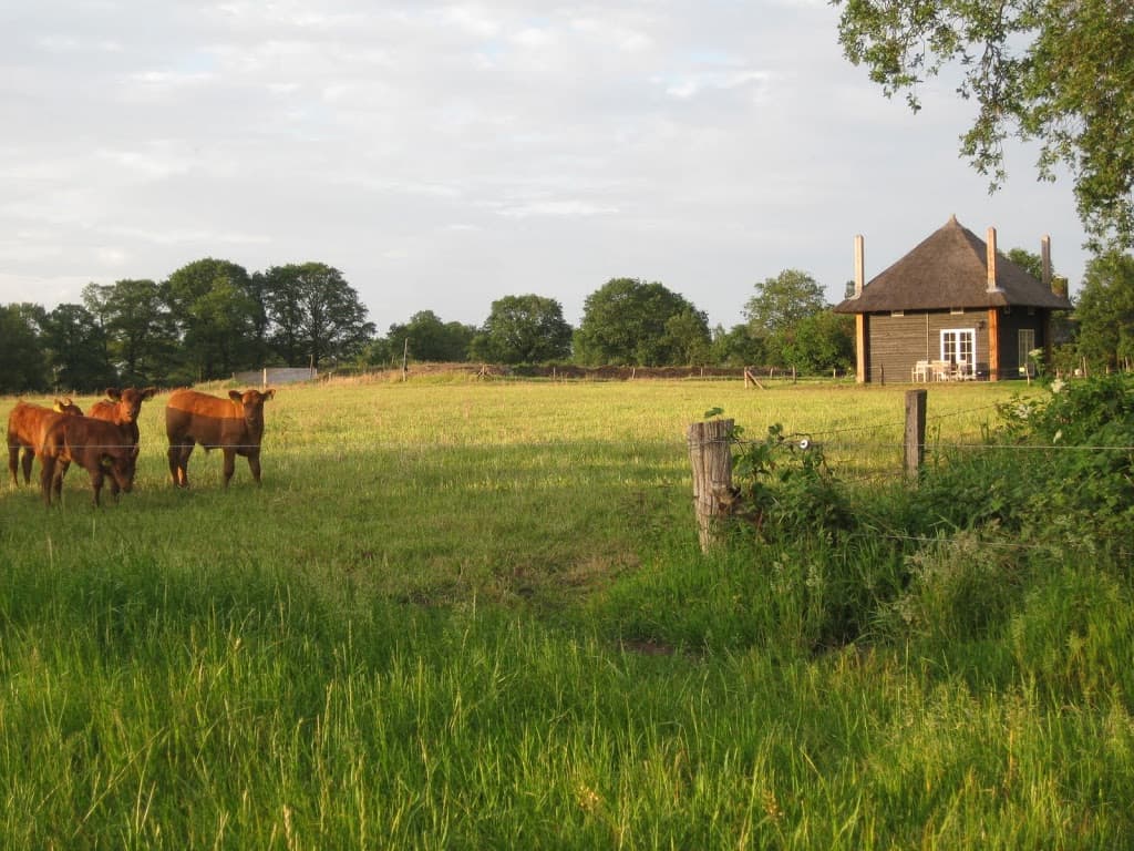 Nature house in Wierden