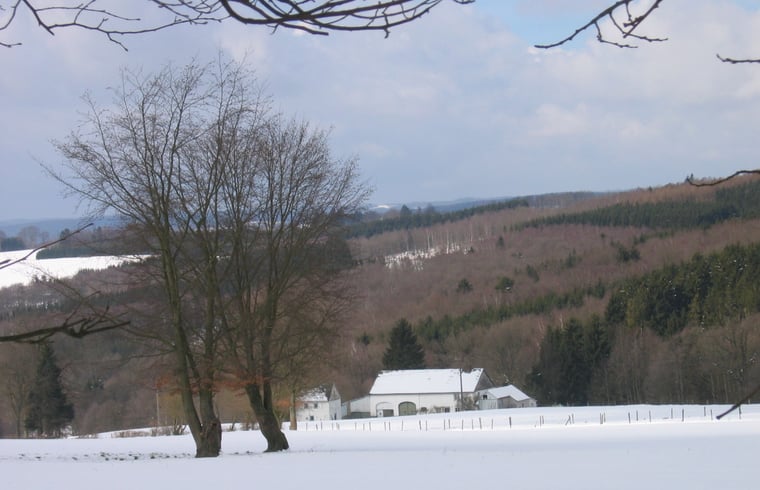 B&B in Malmedy — foto 3