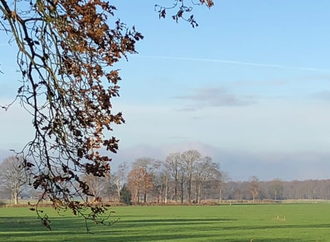 Naturh Uschen Ferienhaus In Oldeberkoop Naturh Uschen De