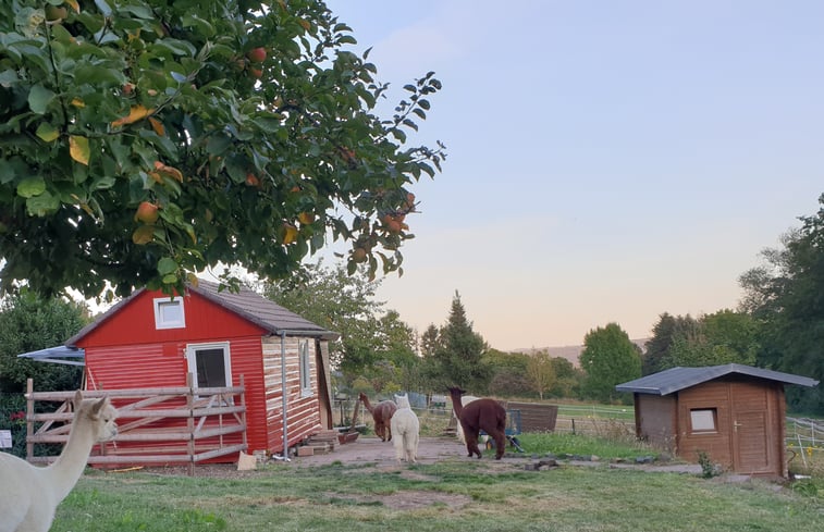 Natuurhuisje in Kassel