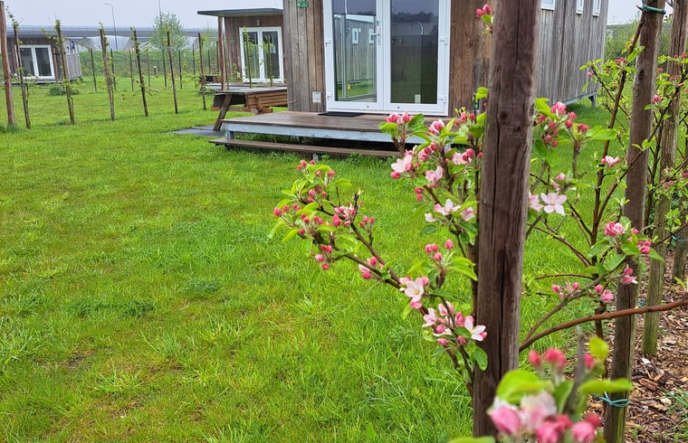 Tiny house in Valkenswaard — foto 2