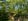 Nature house in Zorgvlied