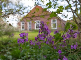 Nature house in Geesteren