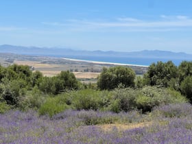 Naturhäuschen in Tarifa