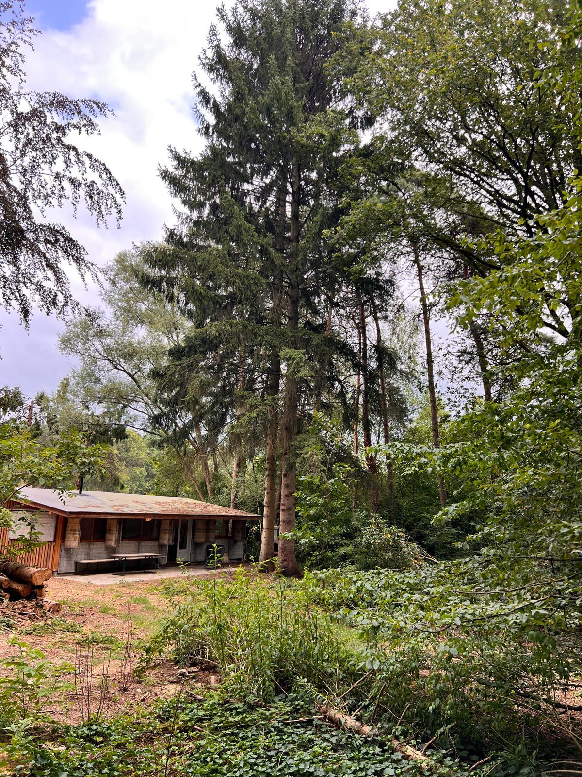 Maison nature à Halle-Zoersel