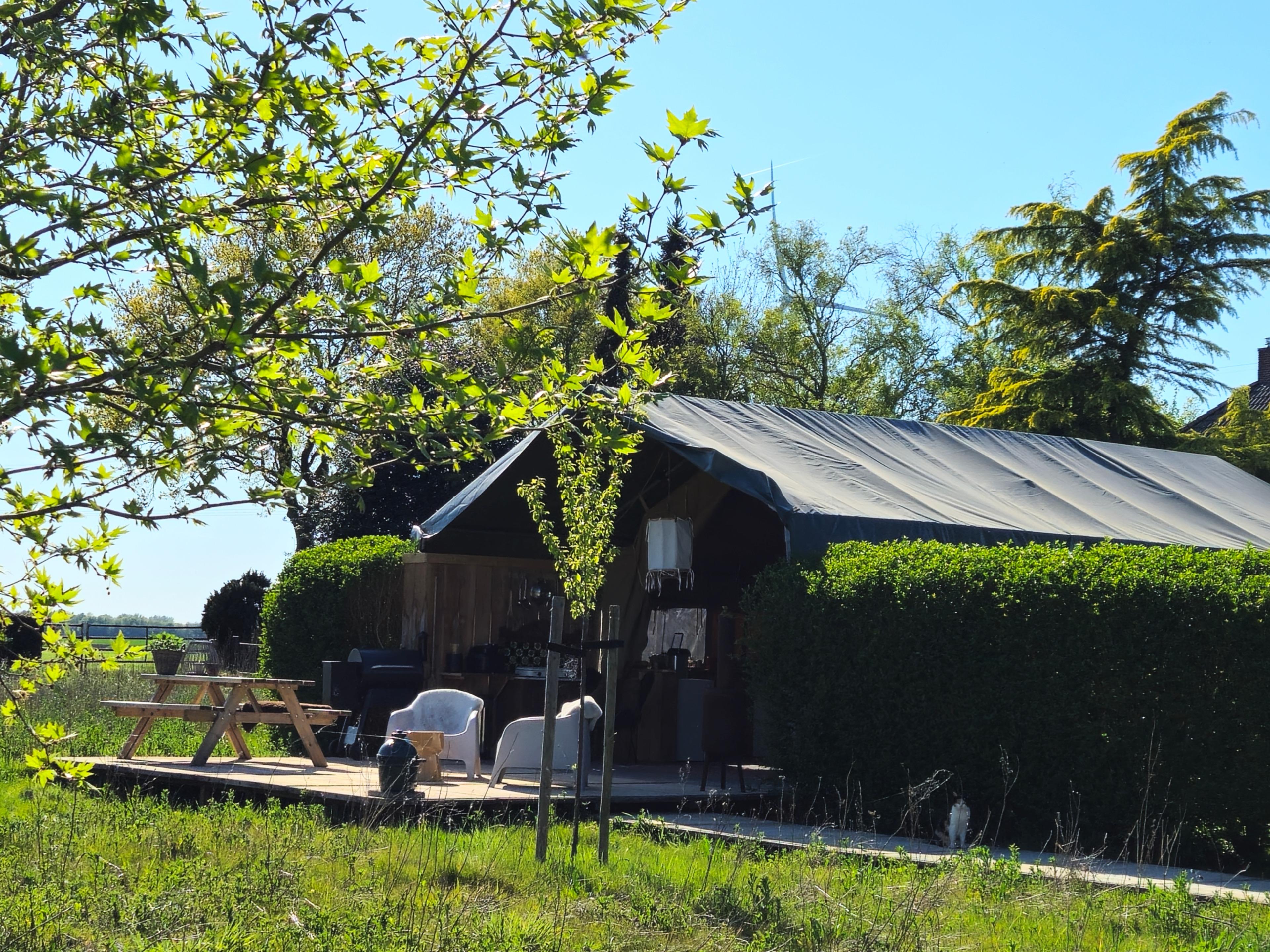 Natuurhuisje in Nieuwediep
