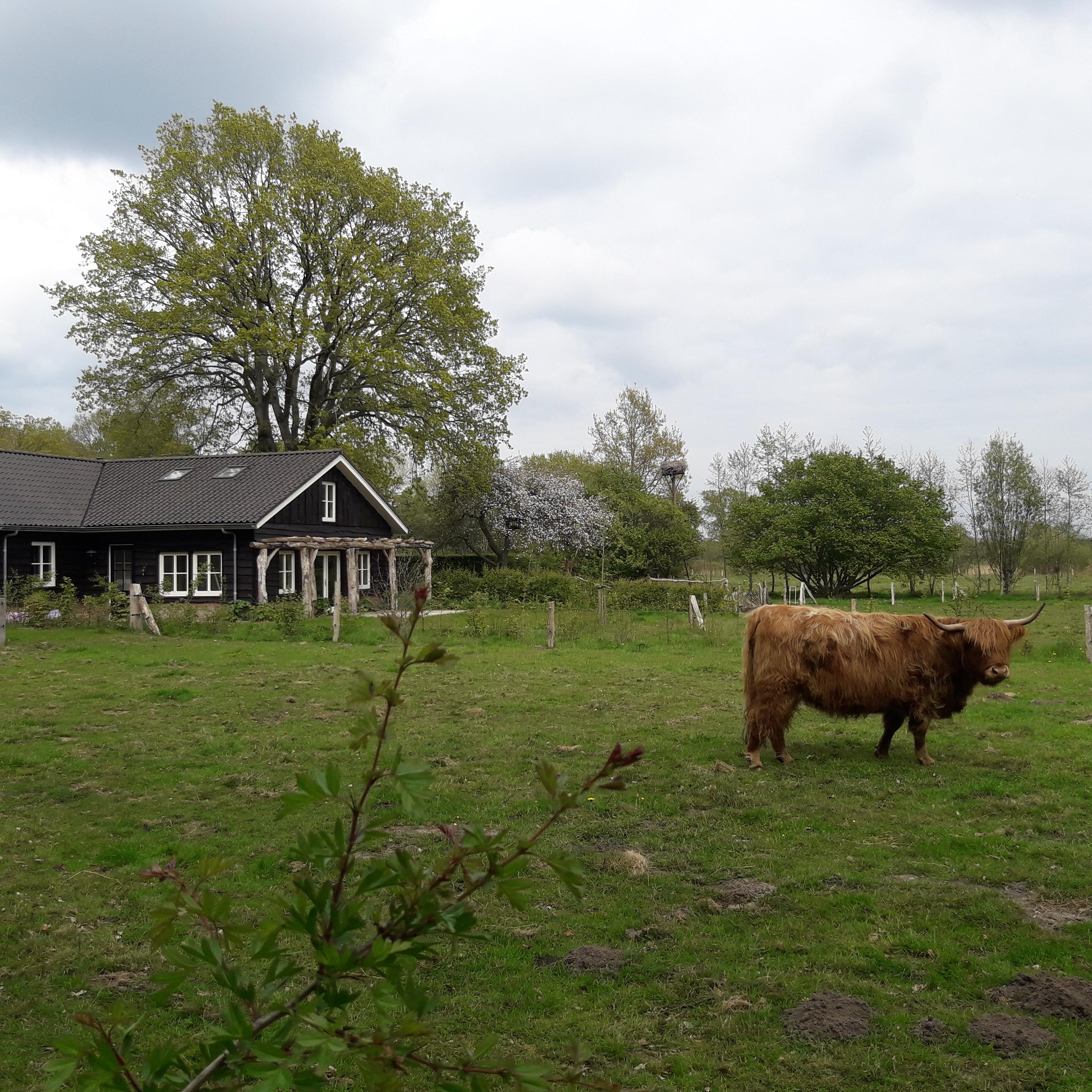 Natuurhuisje in IJhorst