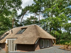 Natuurhuisje in Putten