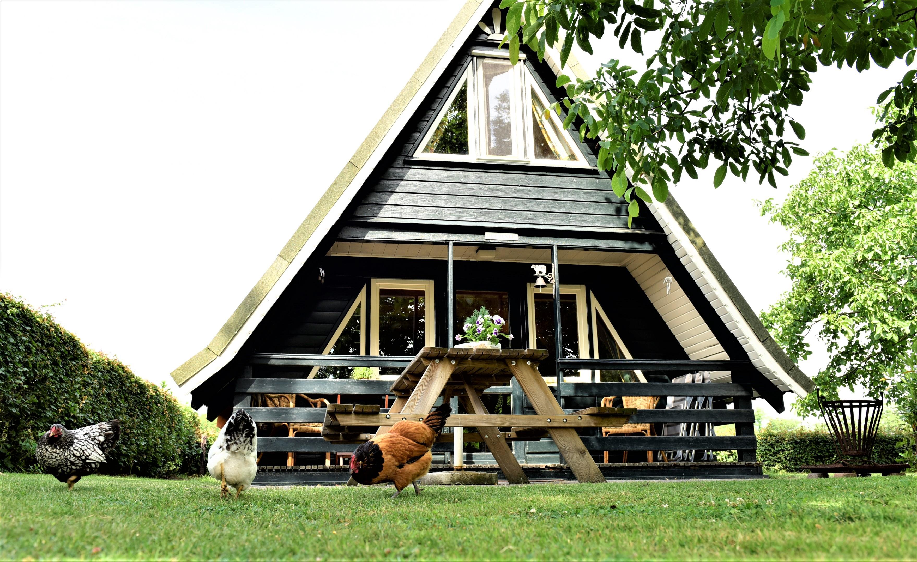 Maison nature à Borculo