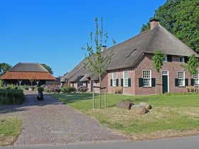 Natuurhuisje in Dwingeloo
