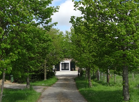 Natuurhuisje in Arnemuiden: 18