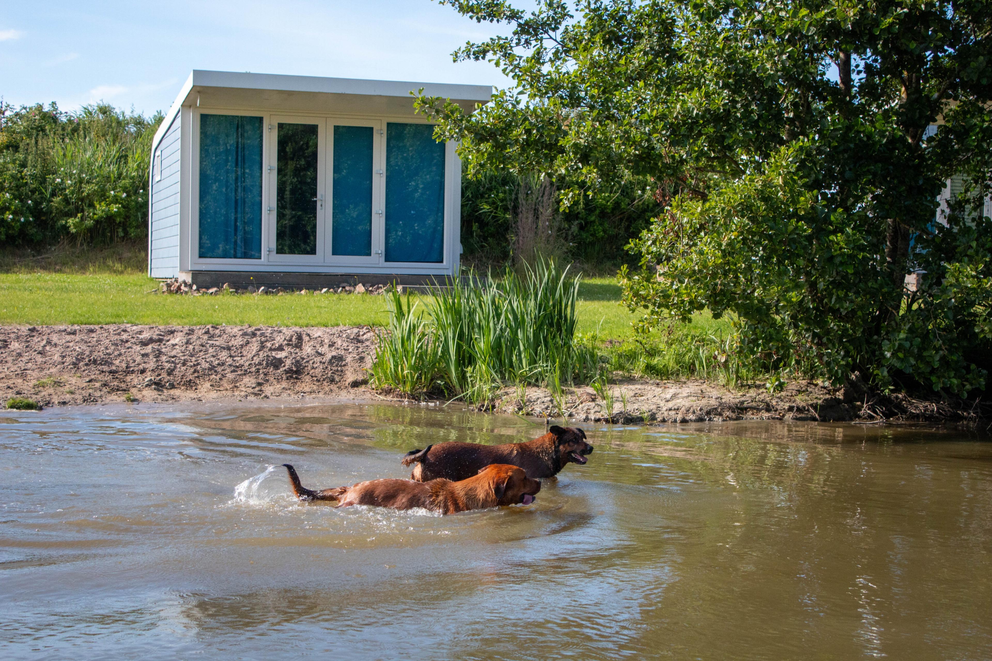 Nature house in Jislum