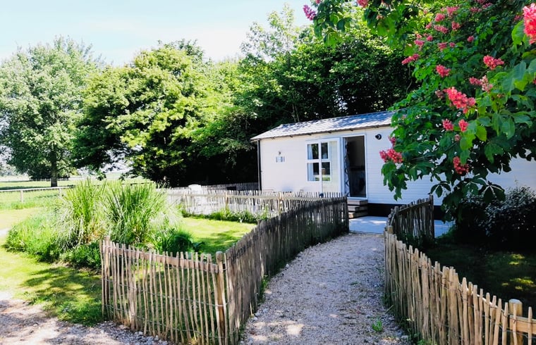 Natuurhuisje in Waarland